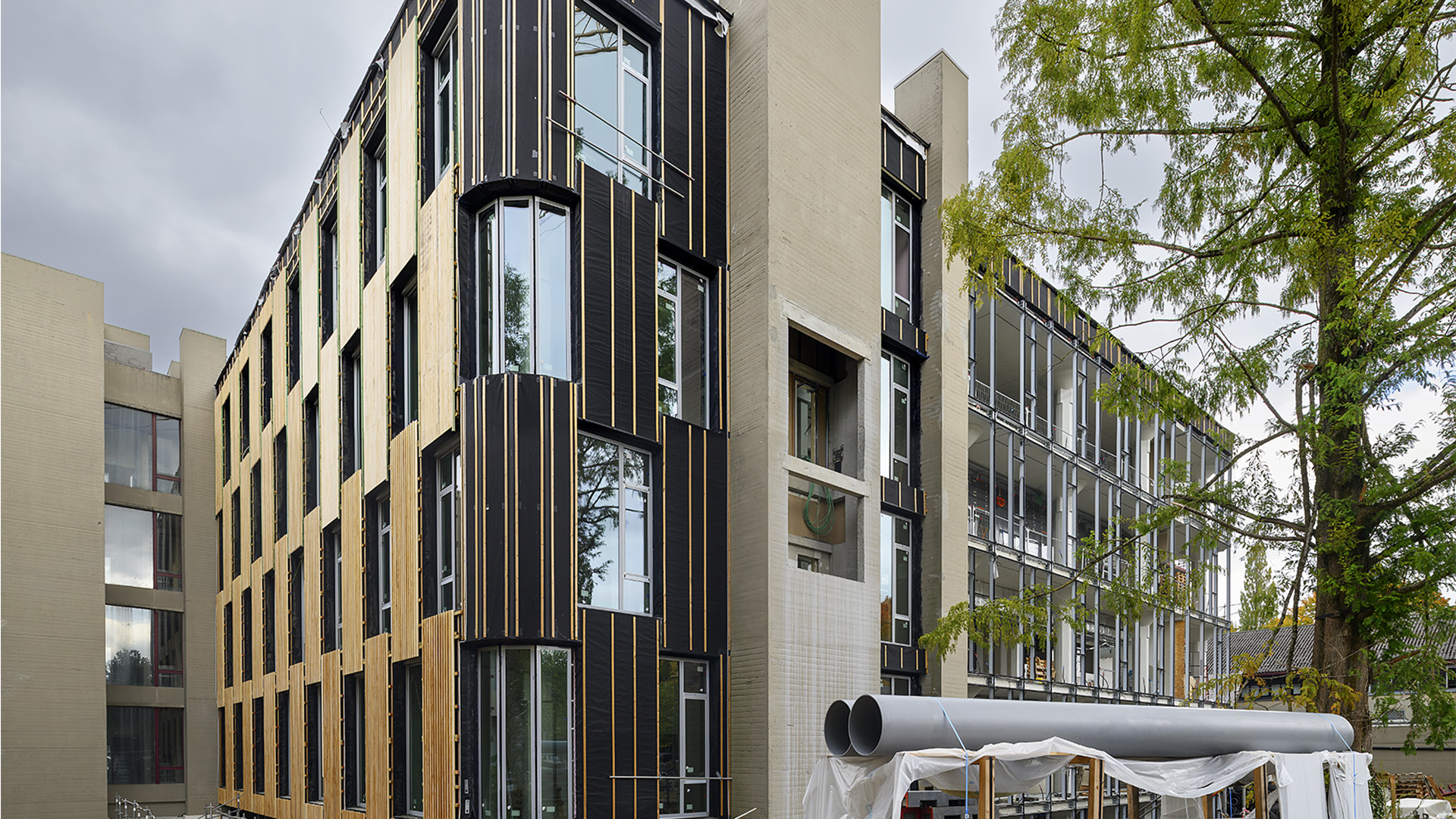 bois façade mendel - greisch - 2