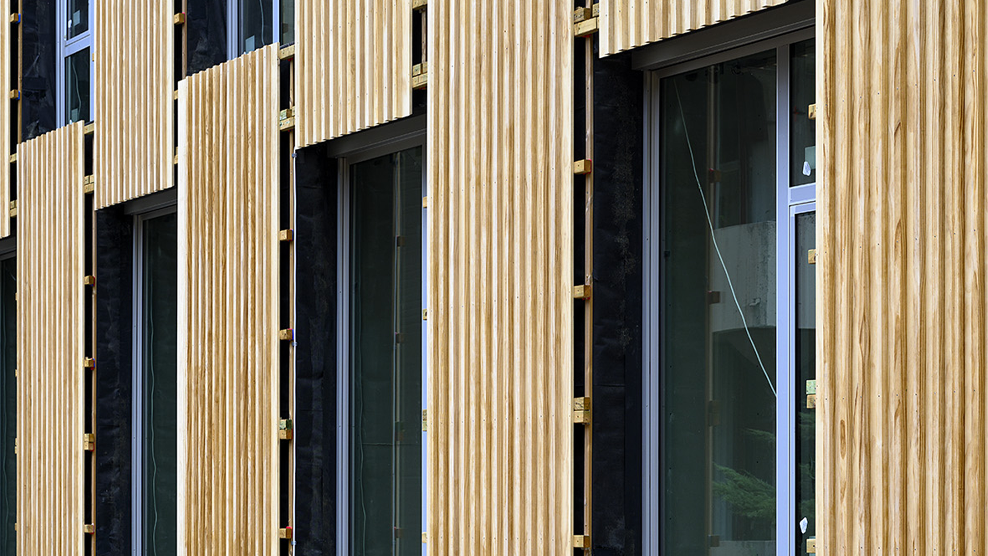bois façade mendel - greisch - 1